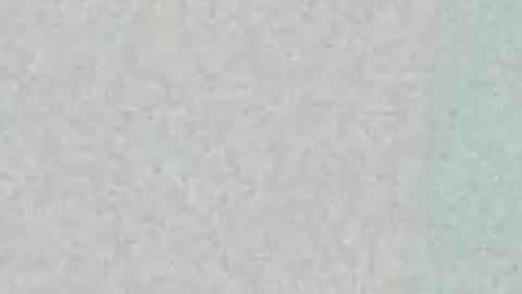 Snapshot of majestic_bella chatting on 05-10-26, 02:22 Bella online show from 05-10-26, 02:22