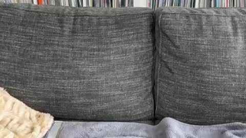 majortazer online show from 12-03-24, 09:23