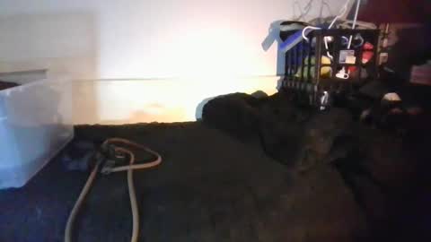 Snapshot of malebdsmslut chatting on 01-18-26, 08:18 CommandbondageNipples bondage kink submissive lovense slave wgear. modequiethvyBondage If Password goldfish online show from 01-18-26, 08:18