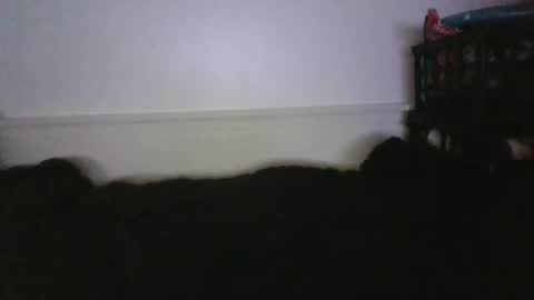 Snapshot of malebdsmslut chatting on 02-26-26, 04:00 CommandbondageNipples bondage kink submissive lovense slave wgear. modequiethvyBondage If Password goldfish online show from 02-26-26, 04:00