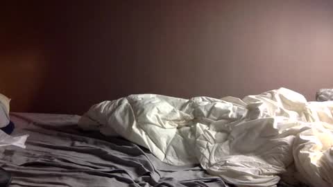 malefrench1 online show from 02-17-26, 05:26