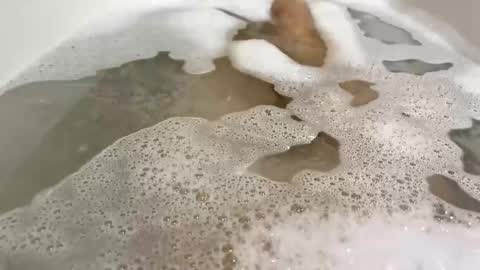 Snapshot of malekula1 chatting on 11-10-25, 09:03 Monad online show from 11-10-25, 09:03