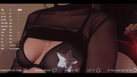 Snapshot of mamiemeow chatting on 12-04-25, 03:43 Your Miss Alice online show from 12-04-25, 03:43