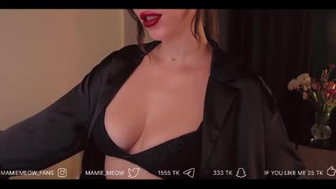 Snapshot of mamiemeow chatting on 02-17-26, 04:24 Your Miss Alice online show from 02-17-26, 04:24