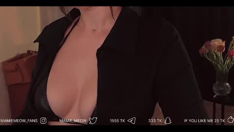 Snapshot of mamiemeow chatting on 02-19-26, 06:20 Your Miss Alice online show from 02-19-26, 06:20