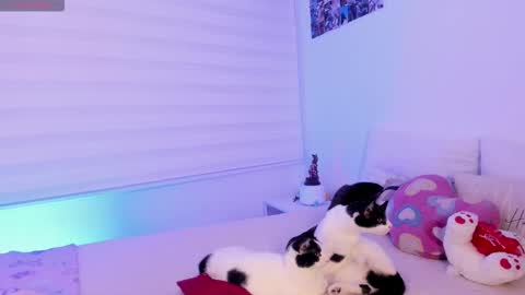 Snapshot of manelyk_10 chatting on 02-02-26, 10:08 online show from 02-02-26, 10:08