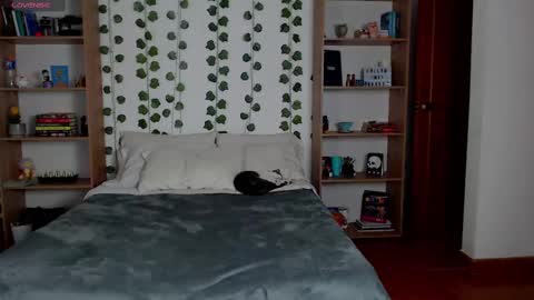 Danny online show from 03-06-25, 05:24