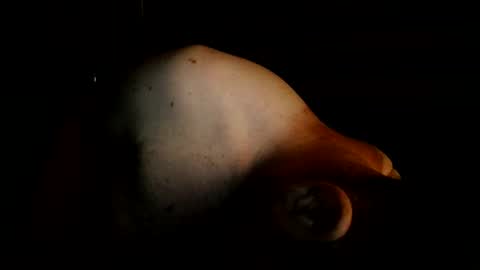 Snapshot of mantittsndick chatting on 08-02-26, 08:35 guywittitsndick online show from 08-02-26, 08:35