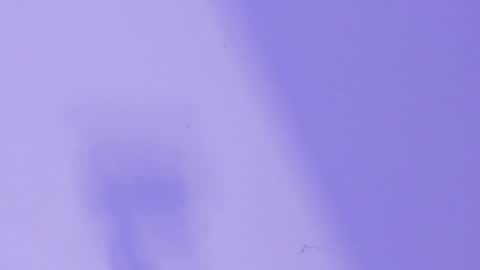 MARCELO online show from 01-26-25, 06:28