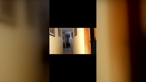 marcos260526 online show from 02-01-26, 03:43