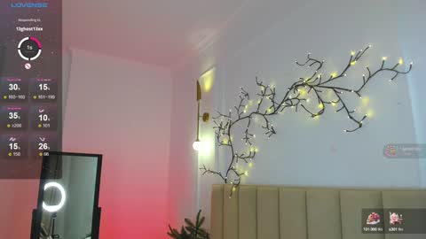 mari_nett online show from 12-27-24, 11:53