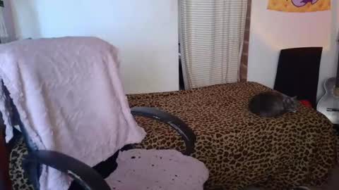 Snapshot of mariaajuana_ chatting on 07-21-26, 05:26 mariaajuana_ online show from 07-21-26, 05:26