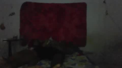 Snapshot of mariaevamotta5 chatting on 02-01-26, 09:13 casal delicia online show from 02-01-26, 09:13