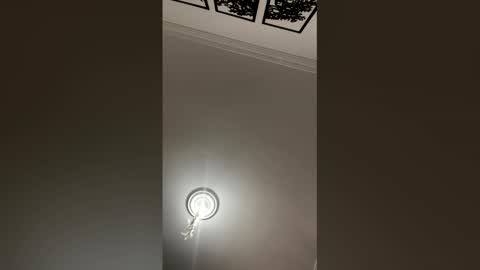 Snapshot of mariana_c chatting on 02-25-26, 02:27 Mar y online show from 02-25-26, 02:27