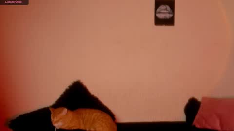 mariana williams online show from 02-22-25, 01:00