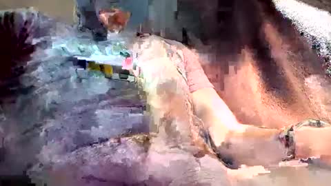 Snapshot of mark102839 chatting on 03-13-26, 08:26 mark102839 online show from 03-13-26, 08:26