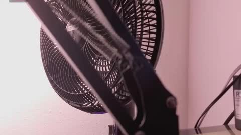 marla online show from 03-12-26, 11:27