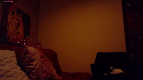     online show from 06-15-26, 02:36