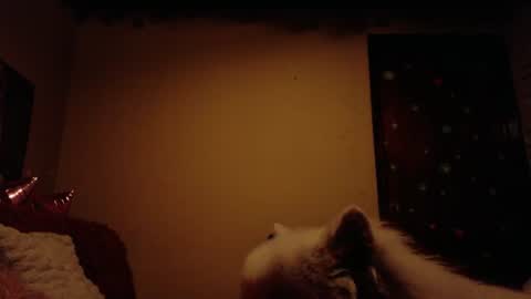     online show from 06-28-26, 07:47