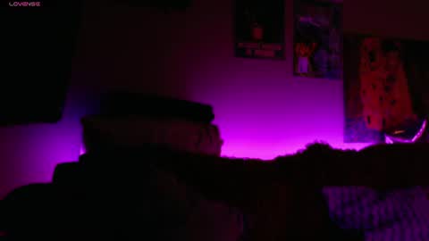     online show from 07-17-26, 07:04
