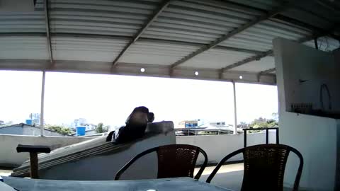 Master Cospi online show from 02-14-25, 02:54