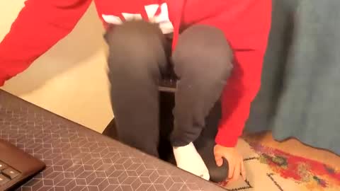 Silly Rabbit  online show from 12-15-24, 08:15