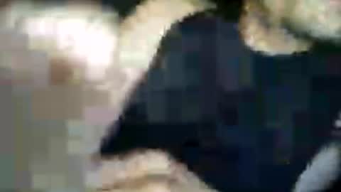 Snapshot of matiasva73 chatting on 07-07-26, 09:57 matiasva73 online show from 07-07-26, 09:57