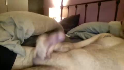 matrixdog69 online show from 11-04-25, 04:06