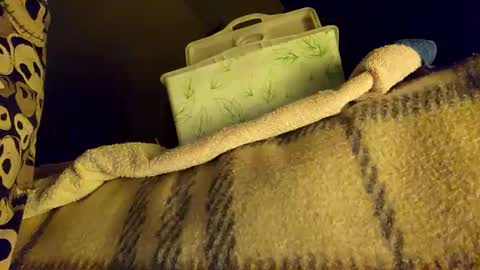 mattshadows667 online show from 01-20-25, 02:22