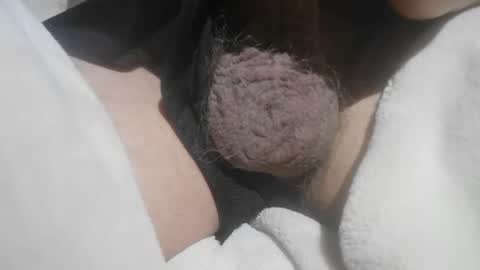 Hairy Bud online show from 05-15-26, 06:04