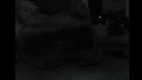 Snapshot of mav1962 chatting on 04-05-26, 06:05 mav1962 online show from 04-05-26, 06:05