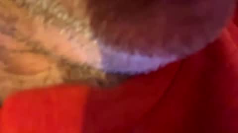 Snapshot of maverick7000 chatting on 10-31-25, 08:59 maverick7000 online show from 10-31-25, 08:59