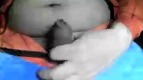 max_gv online show from 06-19-26, 08:29