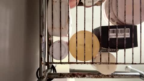 Snapshot of maxaux chatting on 10-14-25, 07:36 Max online show from 10-14-25, 07:36