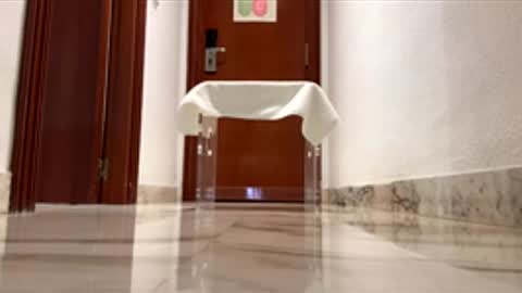 Snapshot of maximo1991 chatting on 12-14-25, 06:19 maximo1991 online show from 12-14-25, 06:19