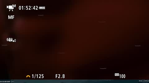 Maximus7871 online show from 01-31-25, 11:35