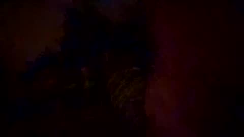 maxmax354 online show from 03-01-25, 07:41