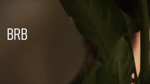 Mary  . online show from 12-28-24, 08:58