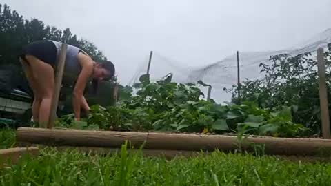 Mazey Rayne online show from 07-28-26, 03:54