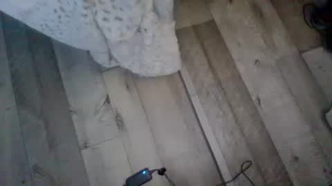 me_him_us_them online show from 11-19-25, 11:10