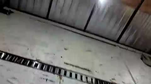 Bruh online show from 05-05-26, 04:09