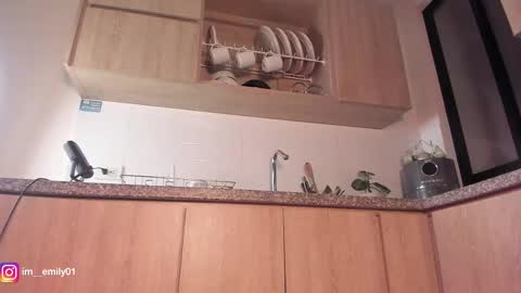 Snapshot of megan__88 chatting on 03-12-26, 01:01 megan online show from 03-12-26, 01:01