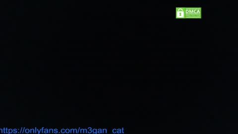 Snapshot of megan_cat chatting on 07-04-26, 05:19 megan_cat online show from 07-04-26, 05:19