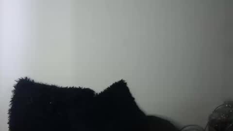 Megan and sophi online show from 09-19-25, 09:37