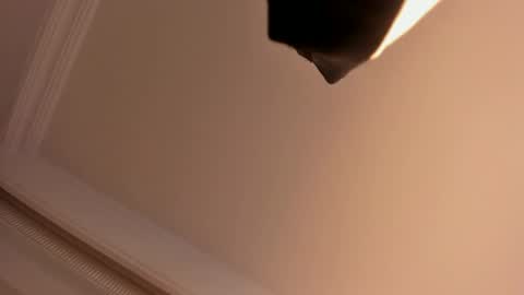 Snapshot of megan_moore__ chatting on 02-01-25, 05:58 online show from 02-01-25, 05:58