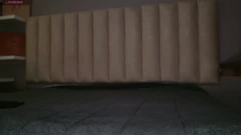 Snapshot of megan_moore__ chatting on 01-19-26, 11:58 online show from 01-19-26, 11:58