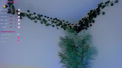 Snapshot of megancarlott_ chatting on 03-01-25, 05:31 megancarlott_ online show from 03-01-25, 05:31