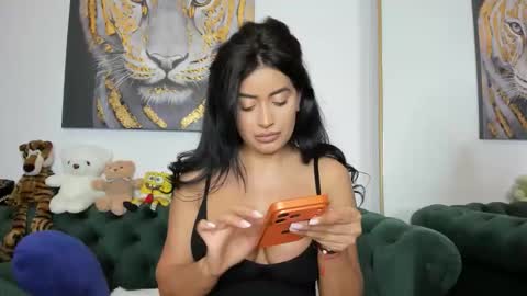 Snapshot of megpalmer chatting on 05-15-26, 07:43 megpalmer online show from 05-15-26, 07:43