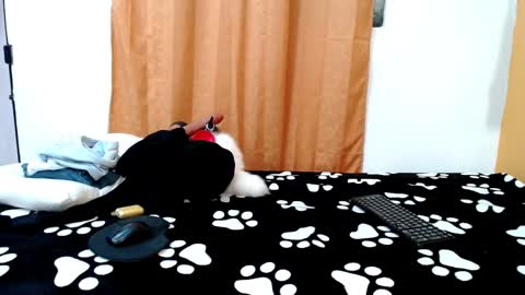 Snapshot of meisevil77 chatting on 03-14-26, 01:44 MEIS online show from 03-14-26, 01:44