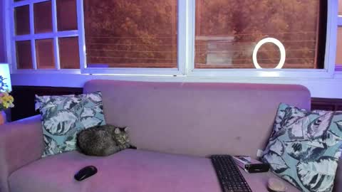 Snapshot of melanieroux chatting on 10-13-25, 07:36 Melanie Roux online show from 10-13-25, 07:36